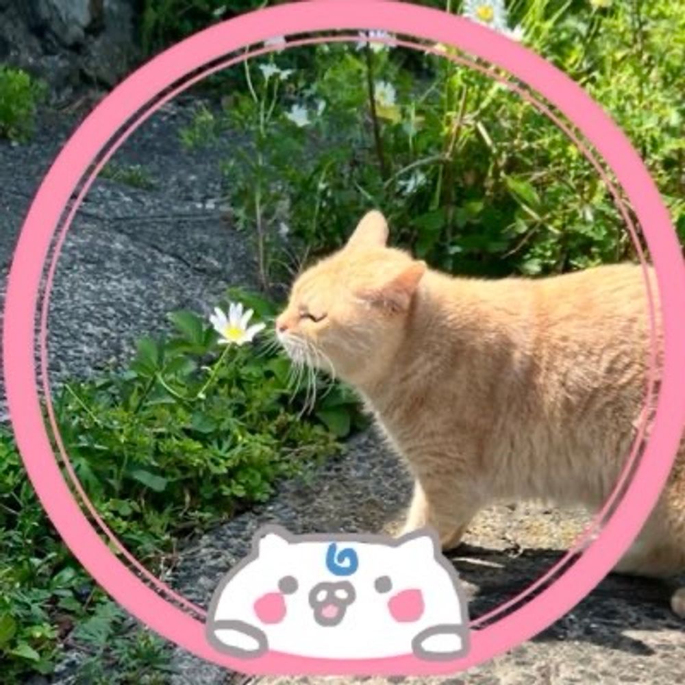 あやこー