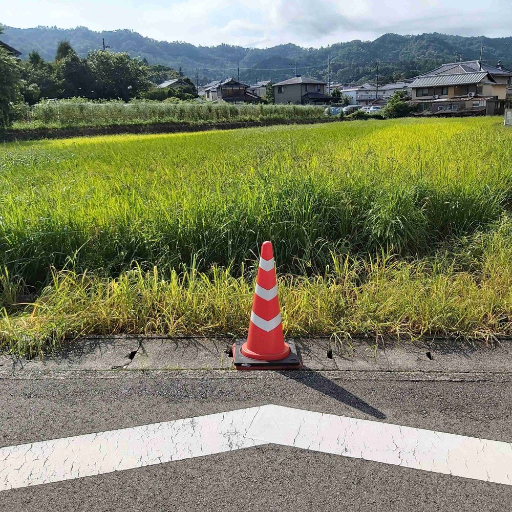 Arnzud