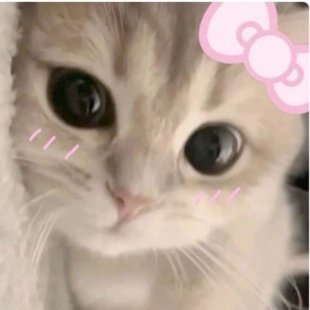 𝒥