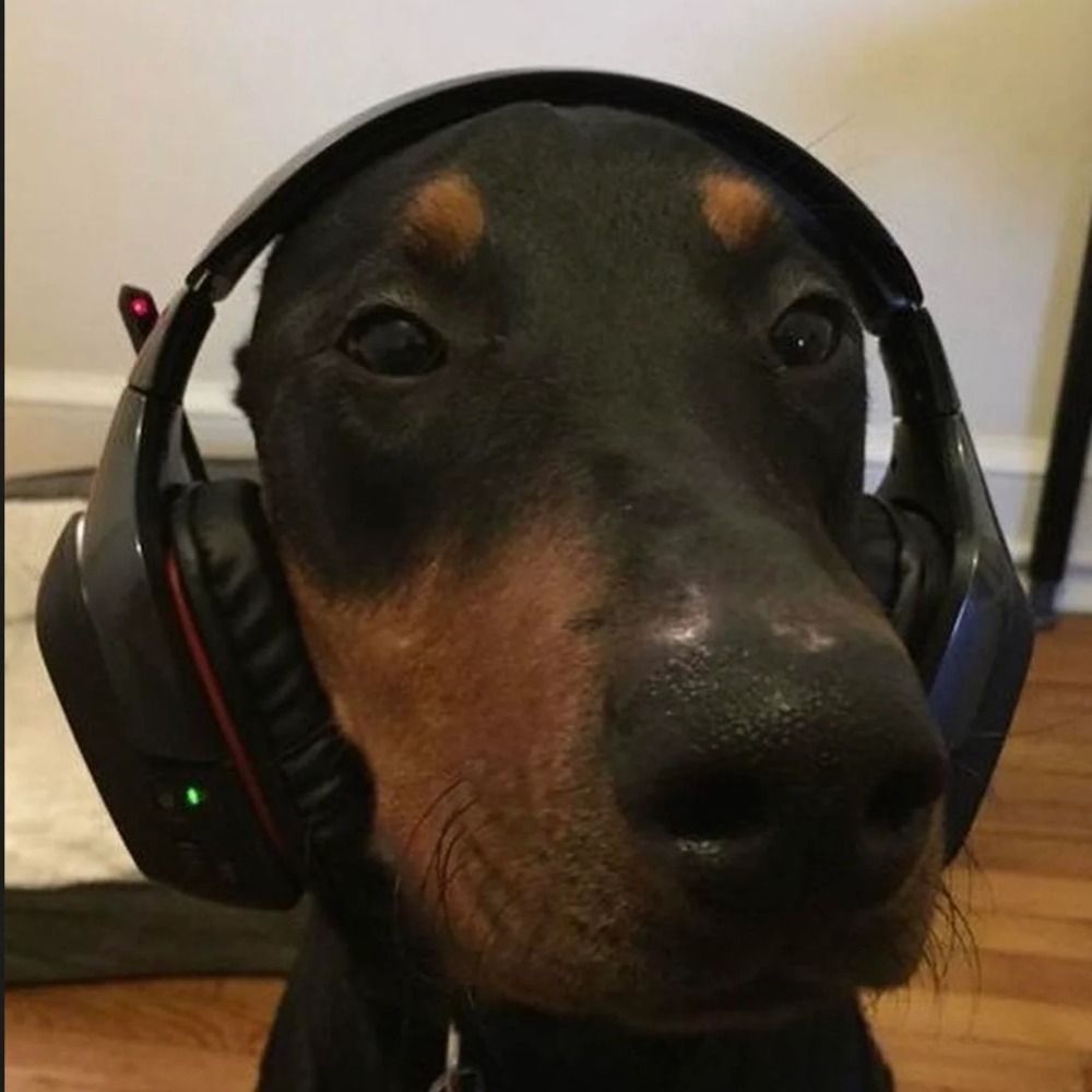 User avatar