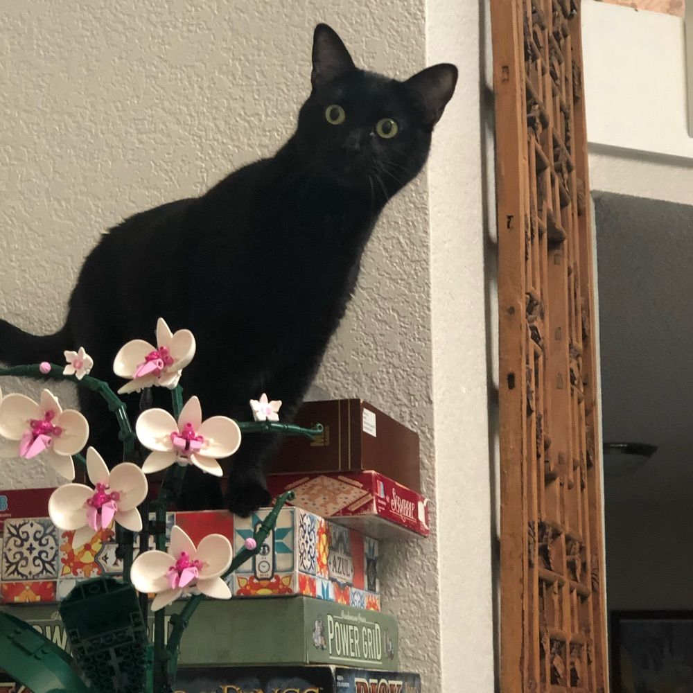 beenfunky.bsky.social