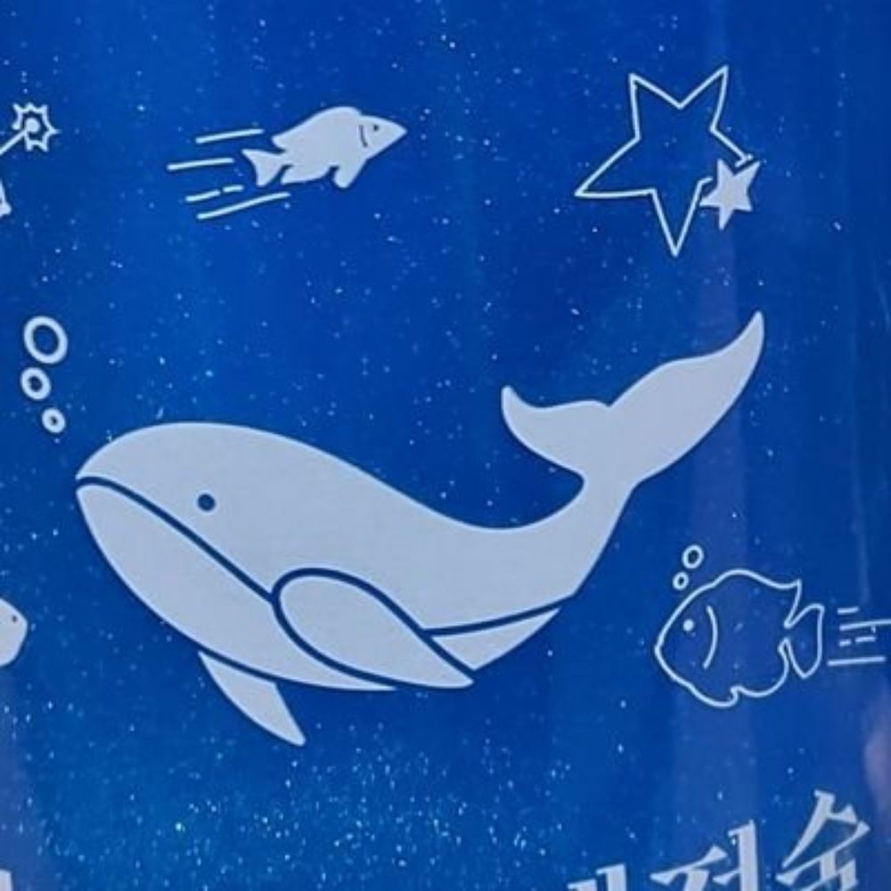 낡은 육체의 칰람쥐