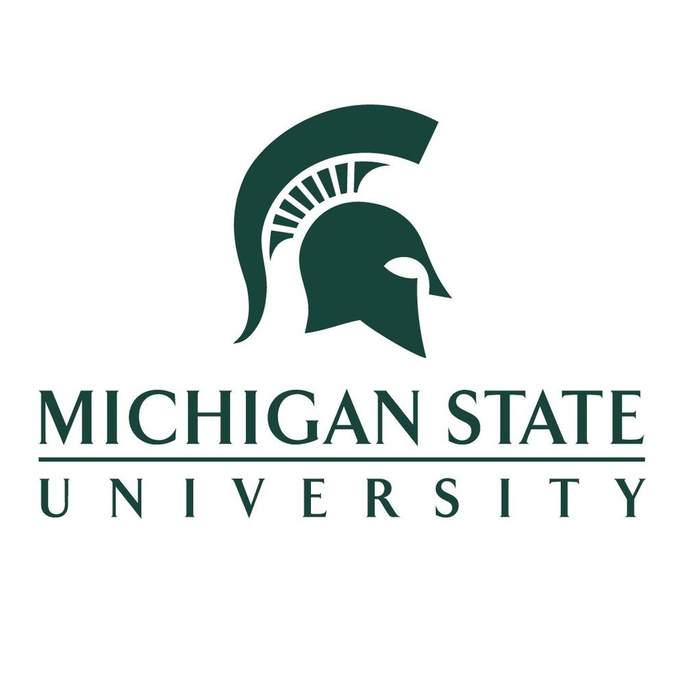 Center for Higher and Adult Education at Michigan State