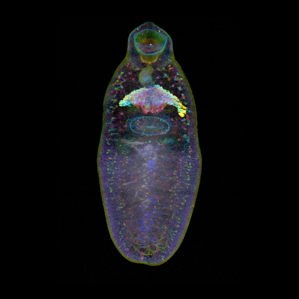 Jayhun Lee Lab