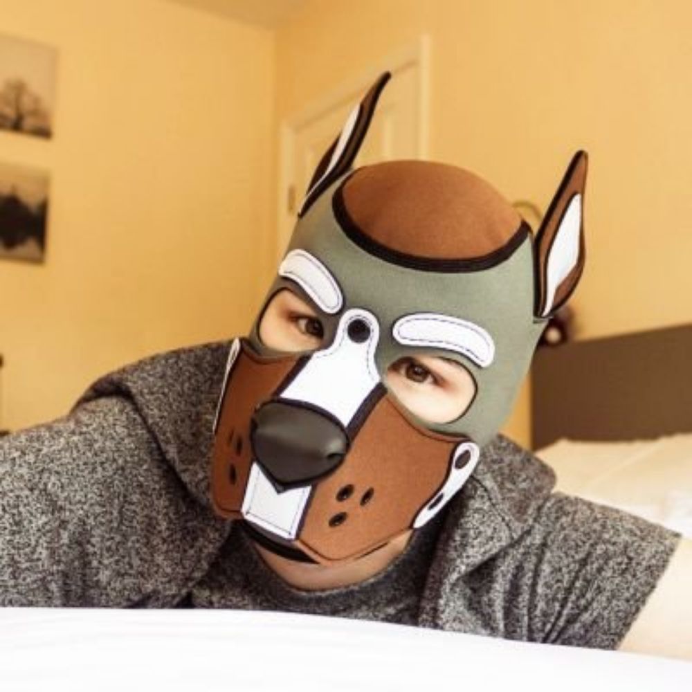 Kuma 🐻