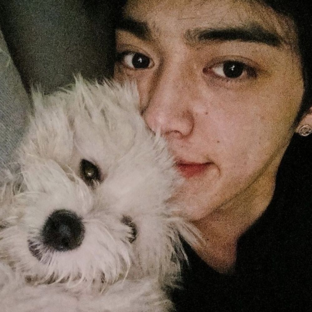 lalinha do cheol•°☆🍒