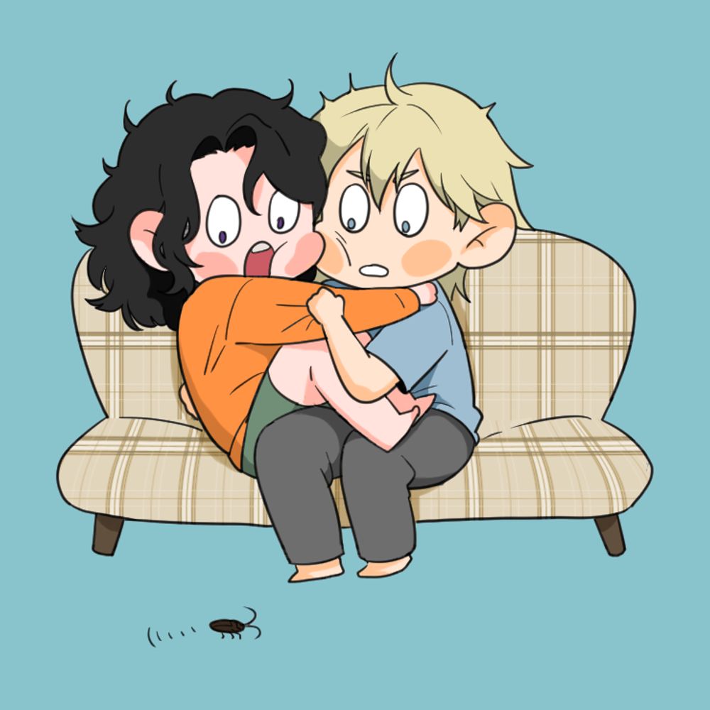 🐾도송/둘기🕊️