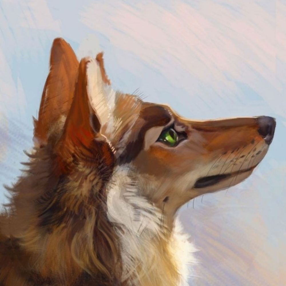 Dumb Coyote