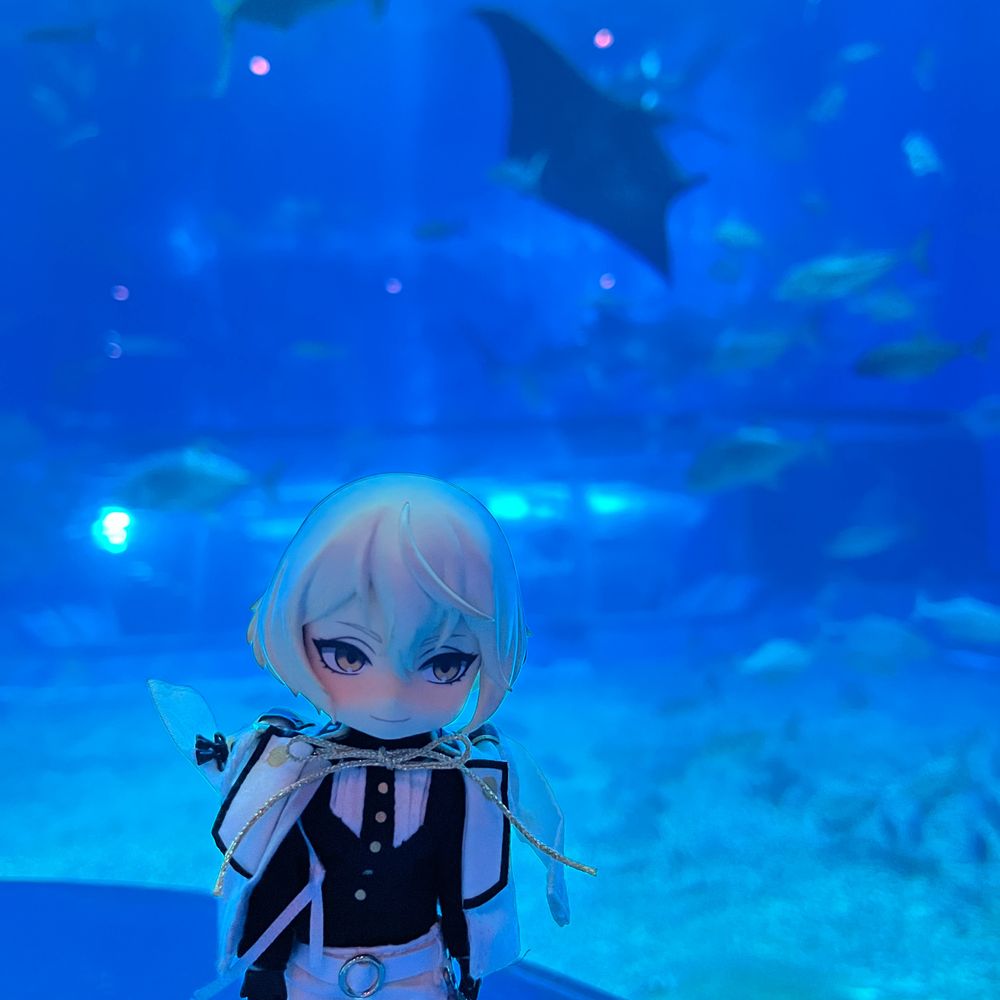 ぴこふりる