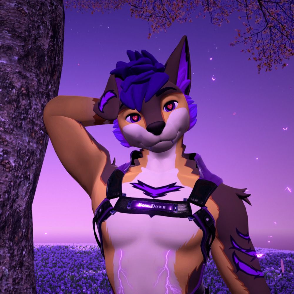 Skycer_Loves