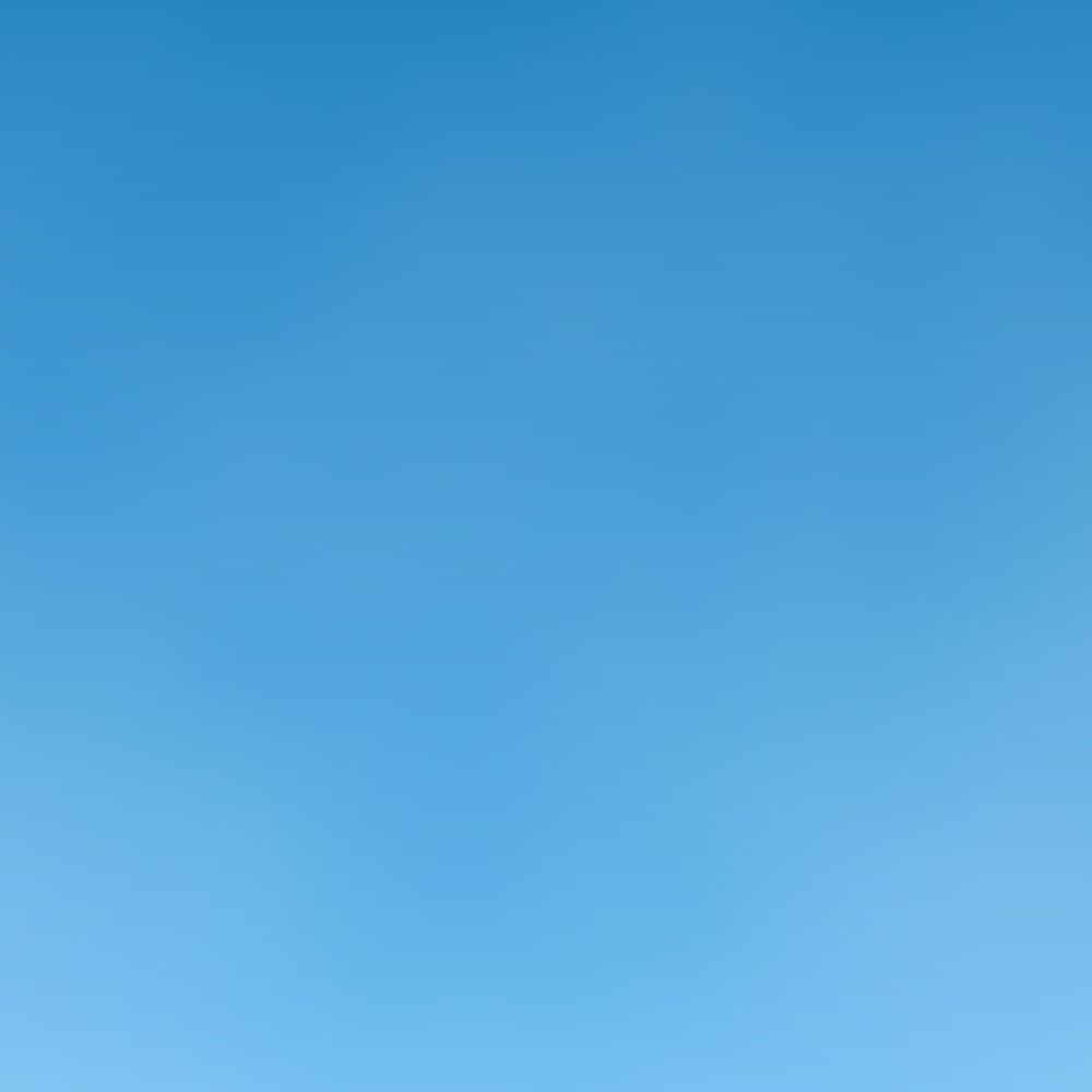 Blue Sky Bot