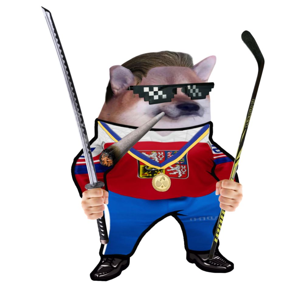 Budějcký Fella