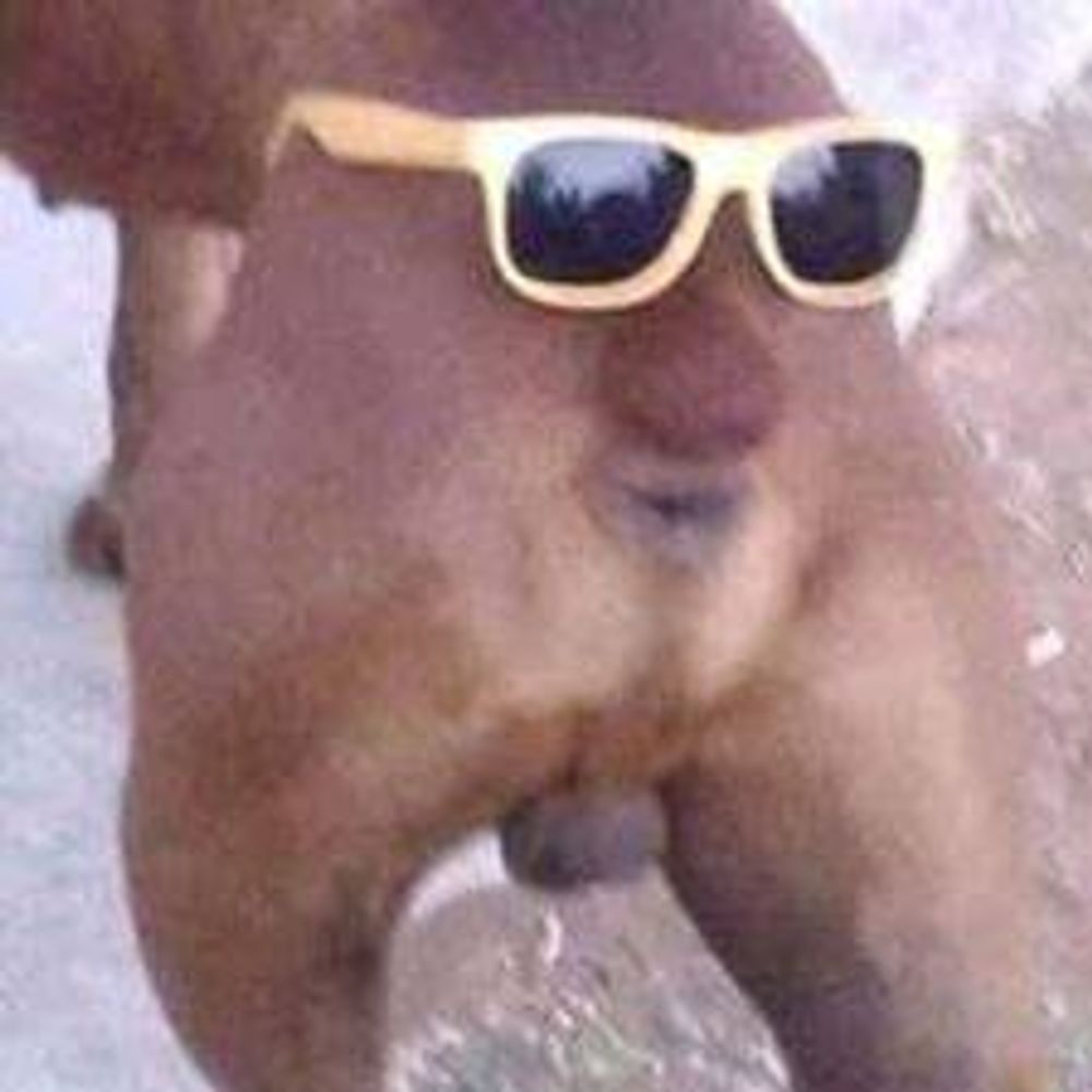 Bakinha