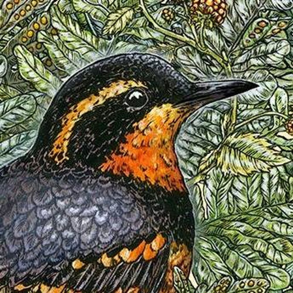 BirdNote