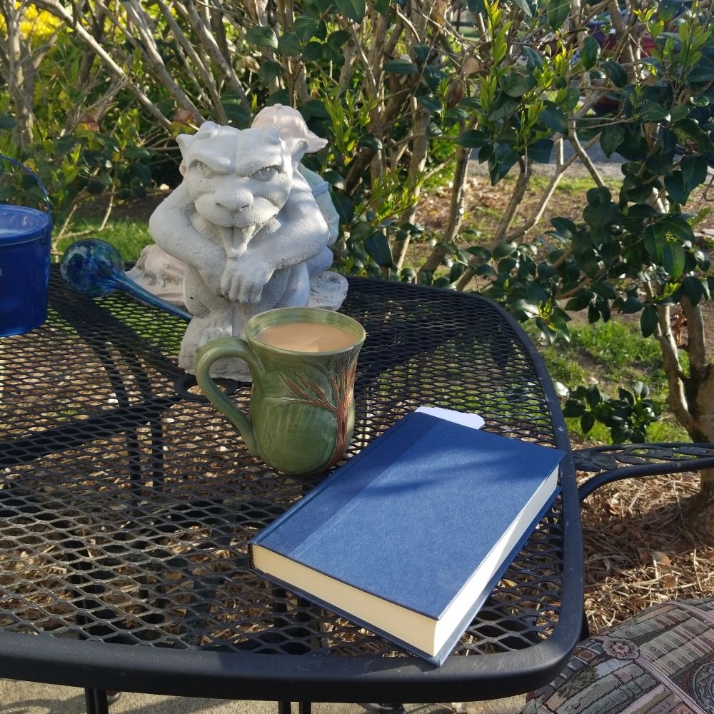 BookGargoyle