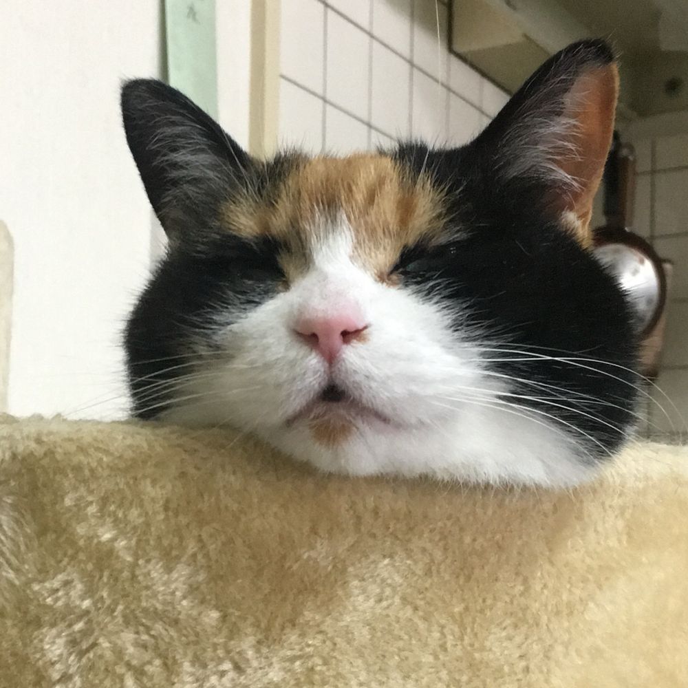 むに