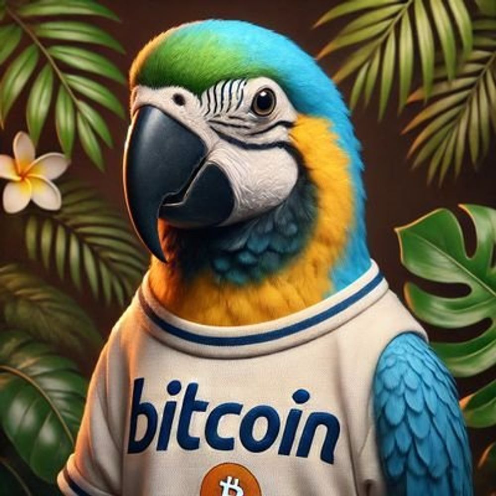 Amigo do Código 🇧🇷