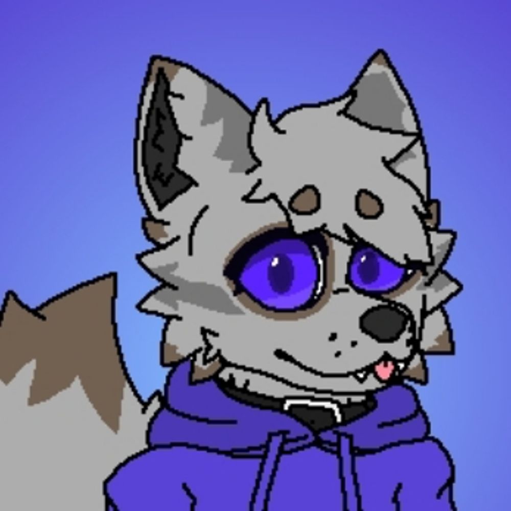 Dingo