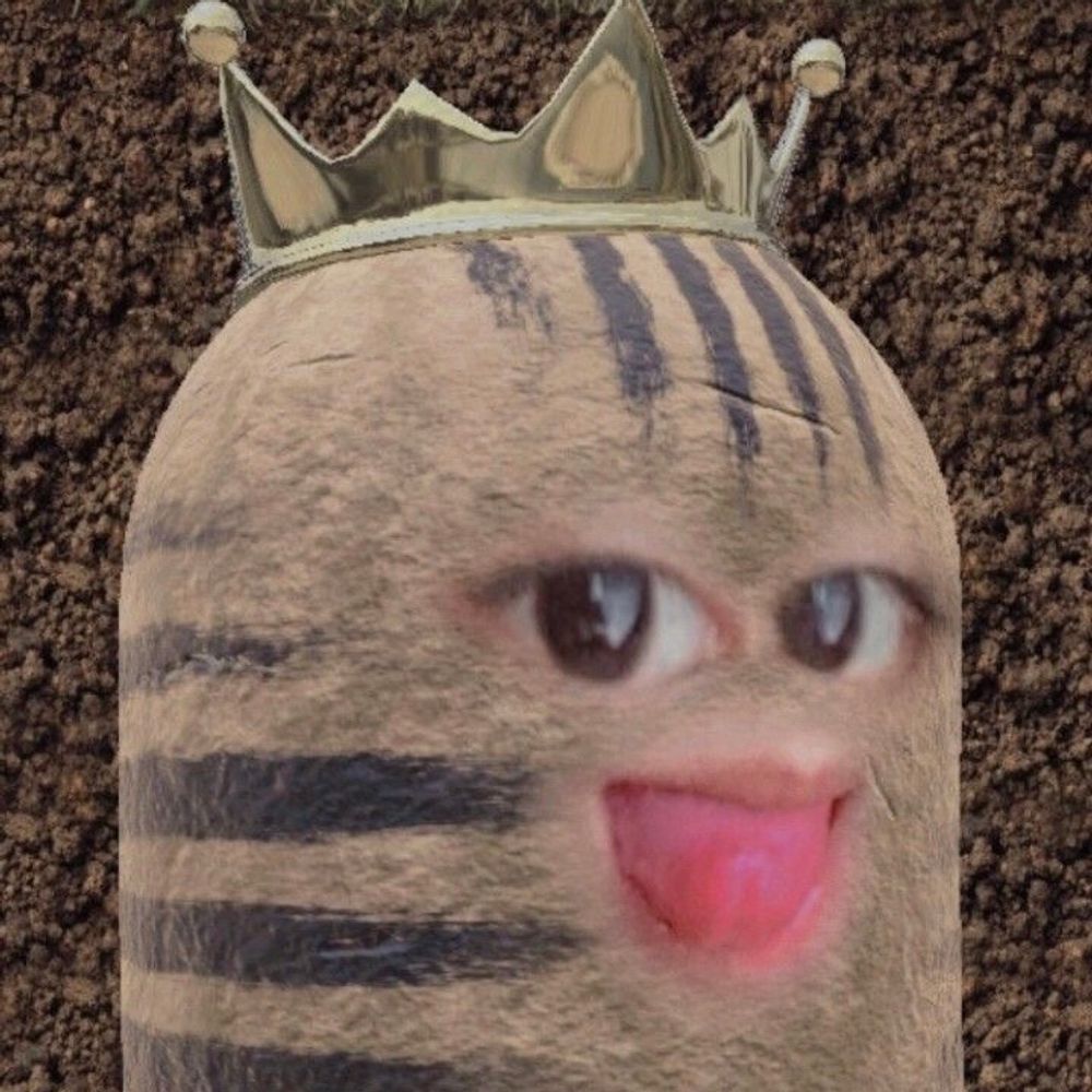 𝕯𝖎𝖓d