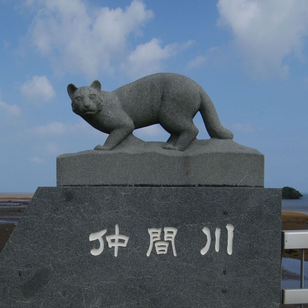 Takeshi Owaki