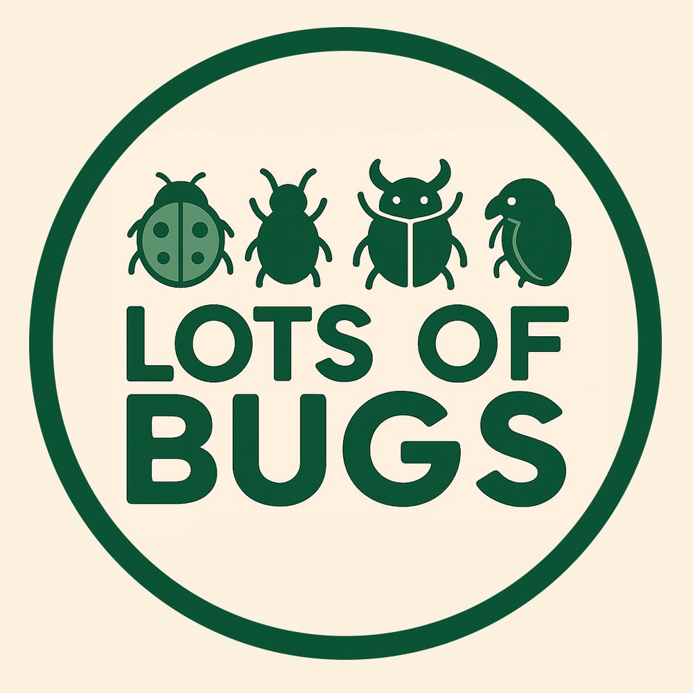 Lots of Bugs