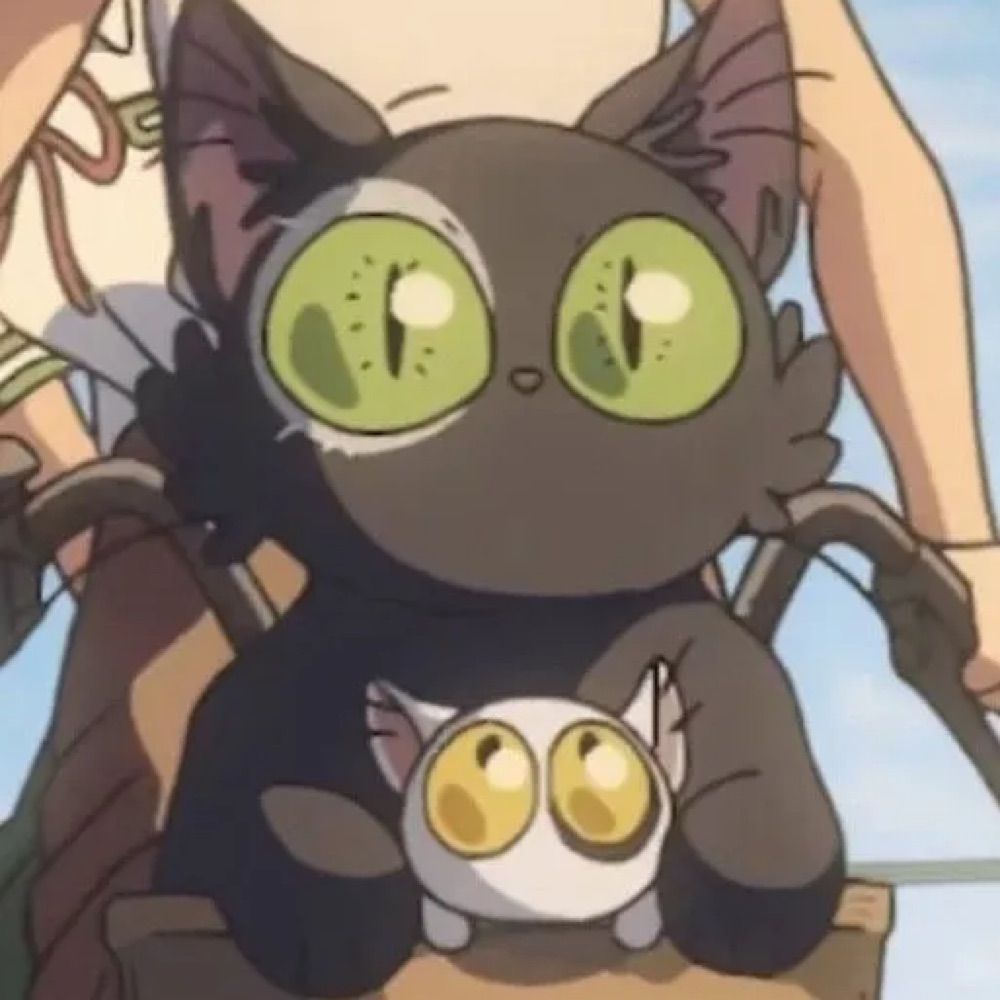08