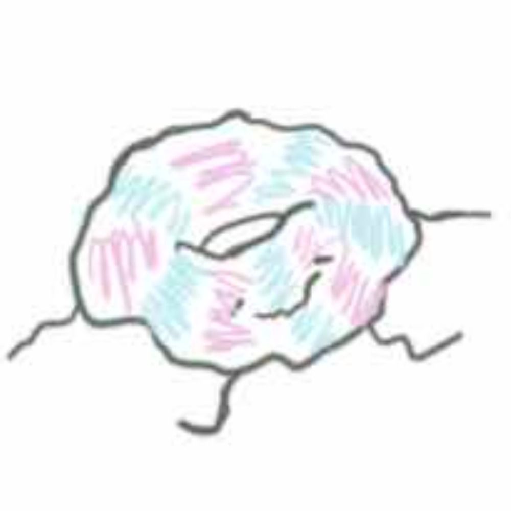 ㄋ