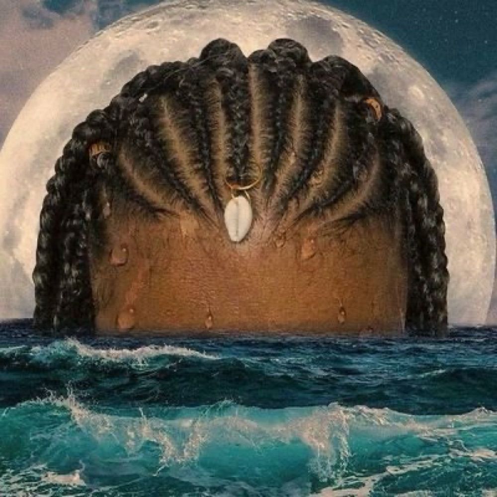 🐚