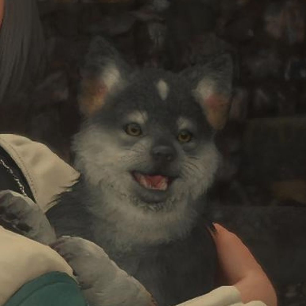 꿍치빡치꿍꿍치