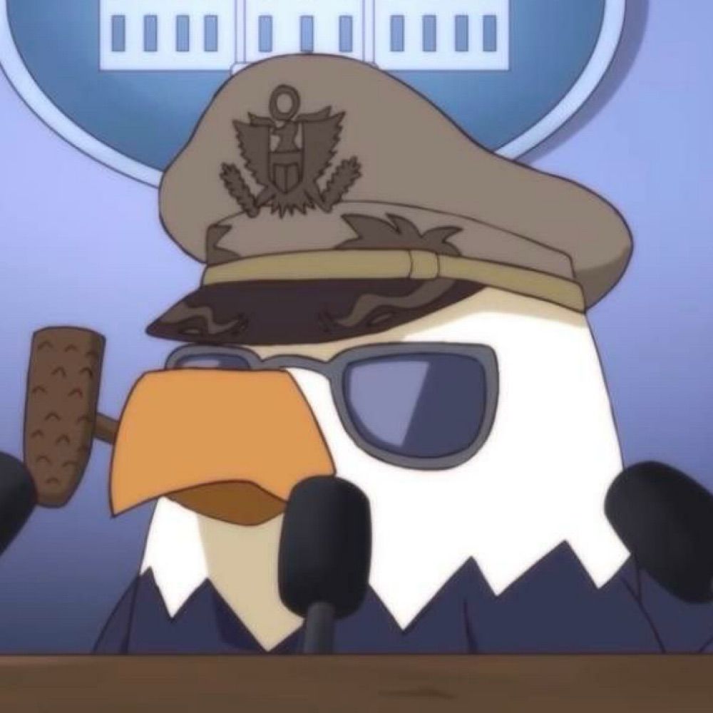 ThatRandomAviator
