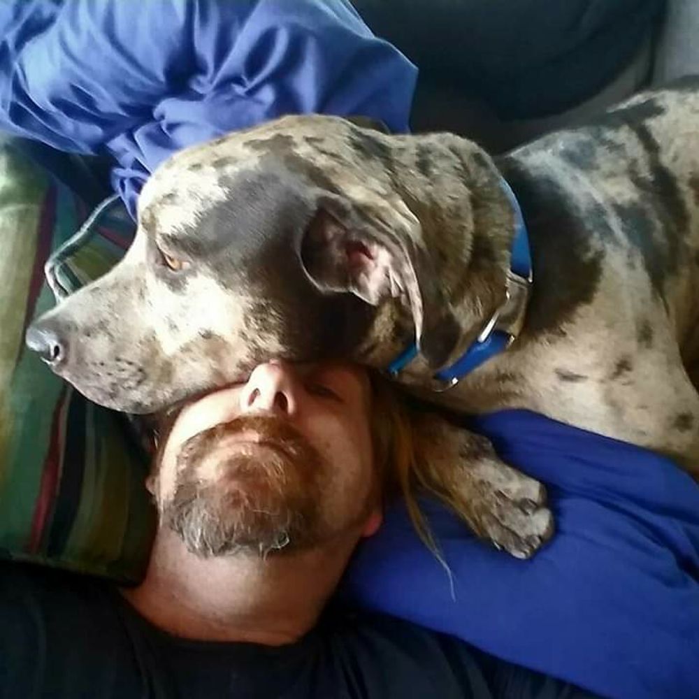 Bubba's Dad
