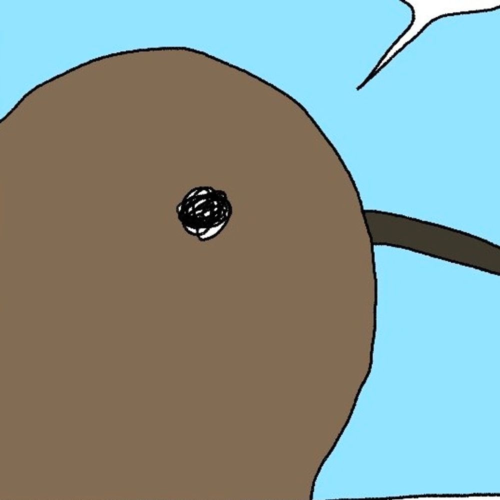 𝑲𝑰𝑾𝑰