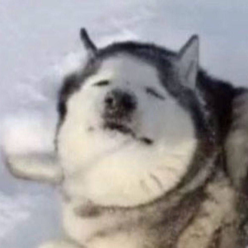 Huskobyte