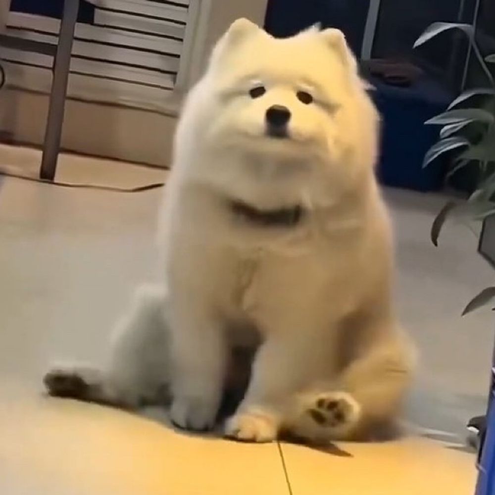 pure