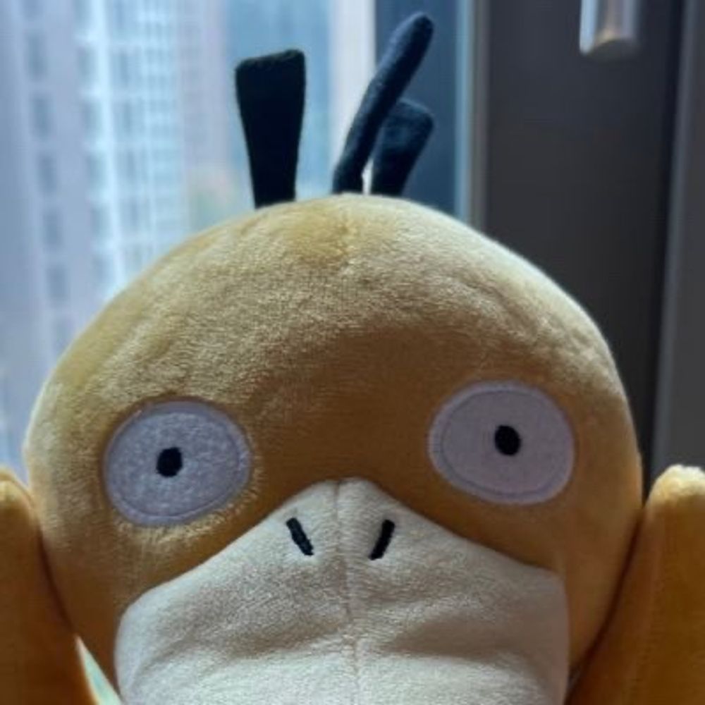 dataduck