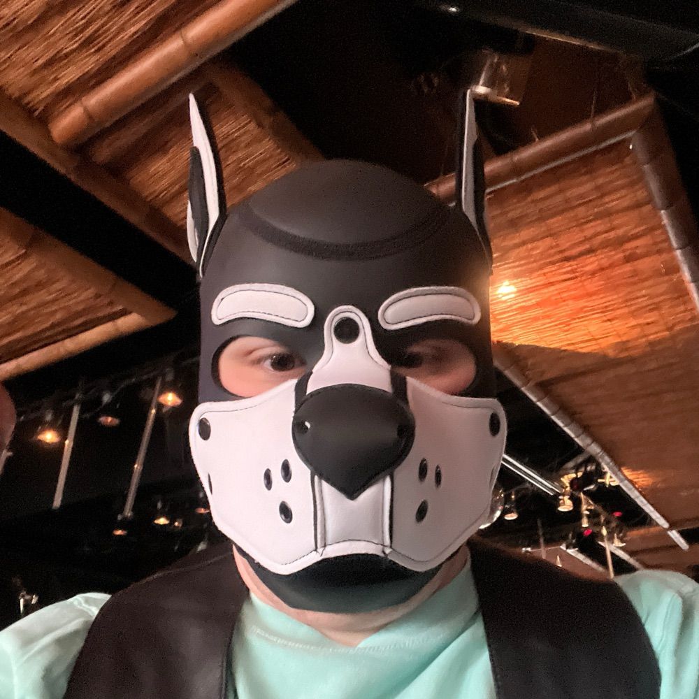 Pup Vulcan