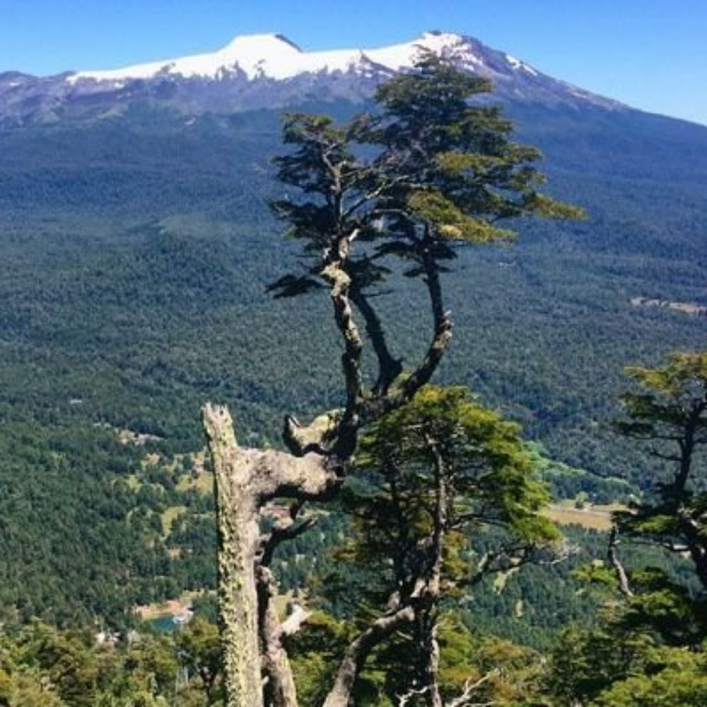 rockandbeer.bsky.social