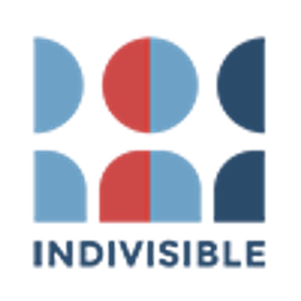 Indivisible Manassas ❌👑