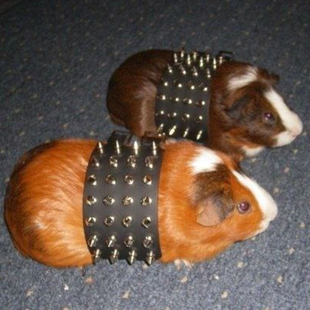 HamsterUltraViolence
