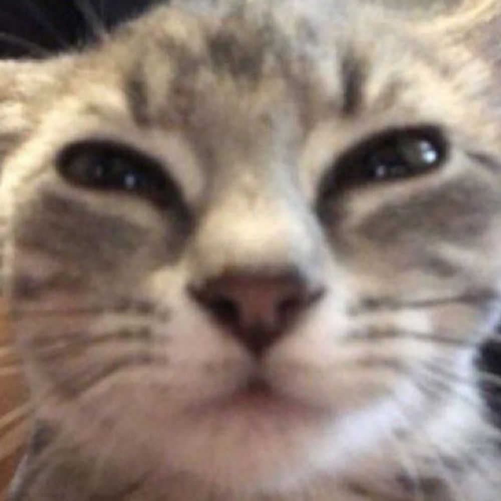 Kitt