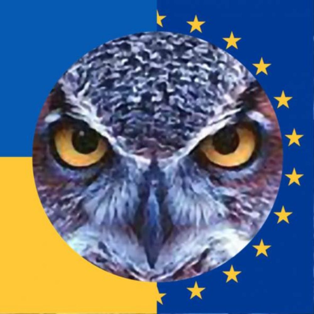 Roberto Di Lernia 🇮🇹🇪🇺🇺🇸🇺🇦🇮🇱🇬🇪