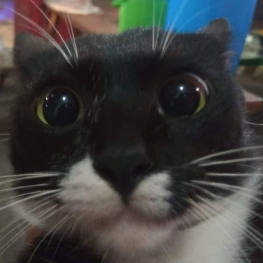 Wazy