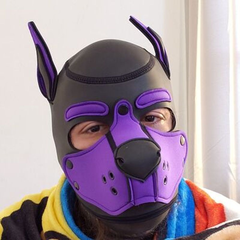 littlesunset.cubhub.social.ap.brid.gy