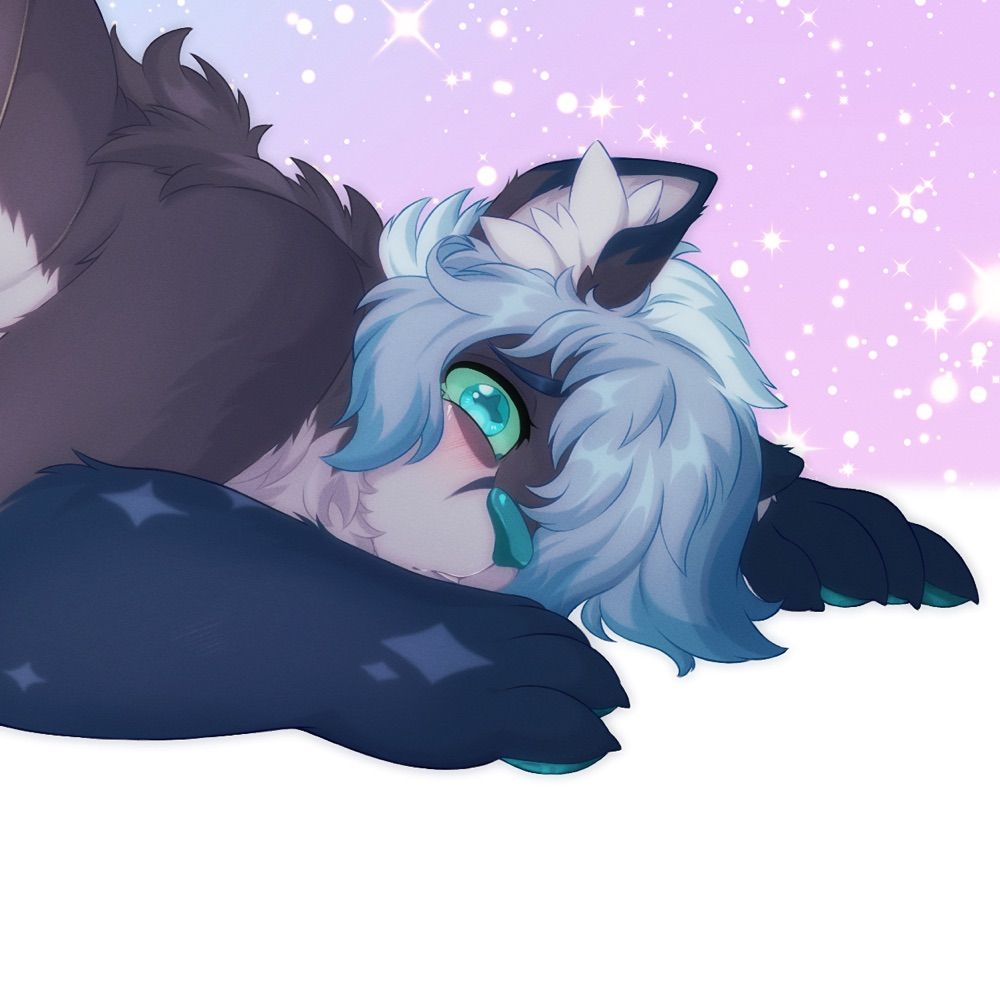 Aster 🔞
