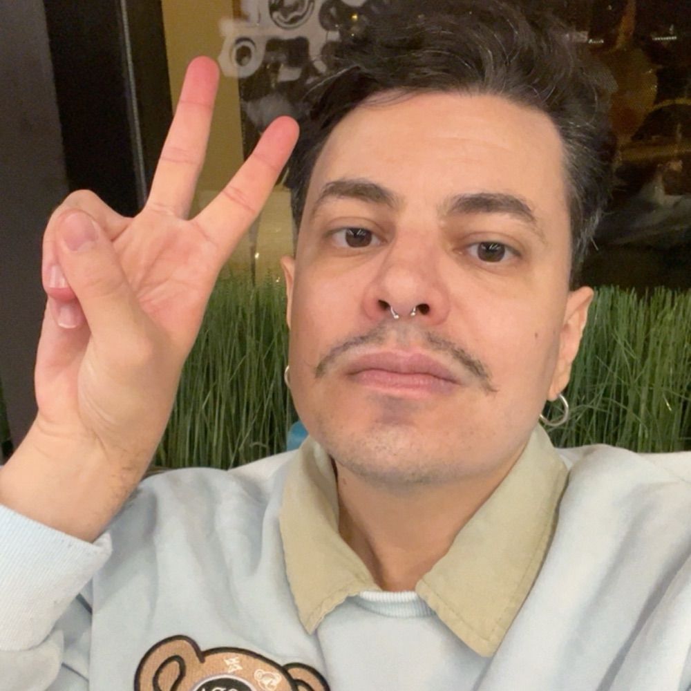 futuro gatinho