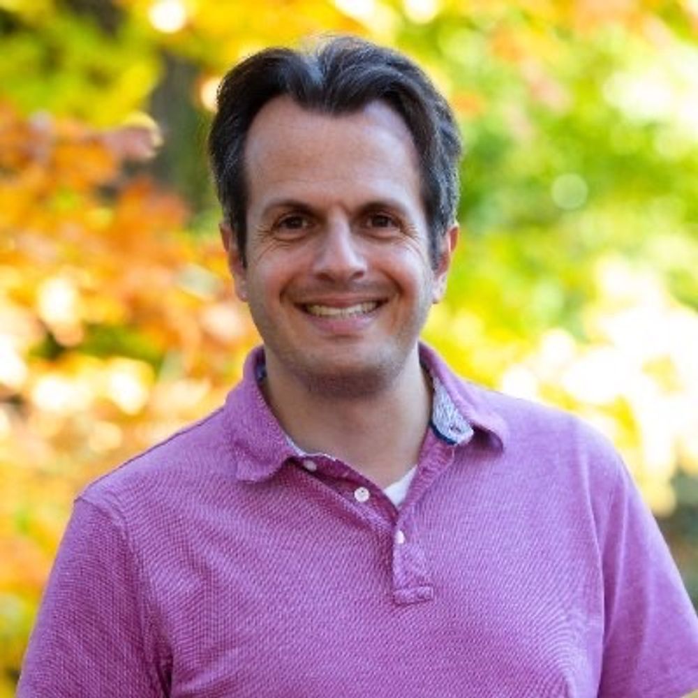 Andy Stitt