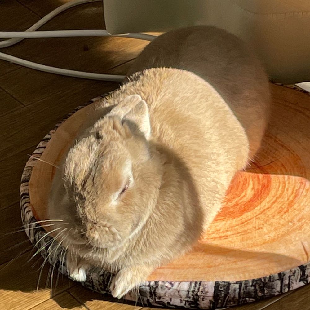 れべ〜