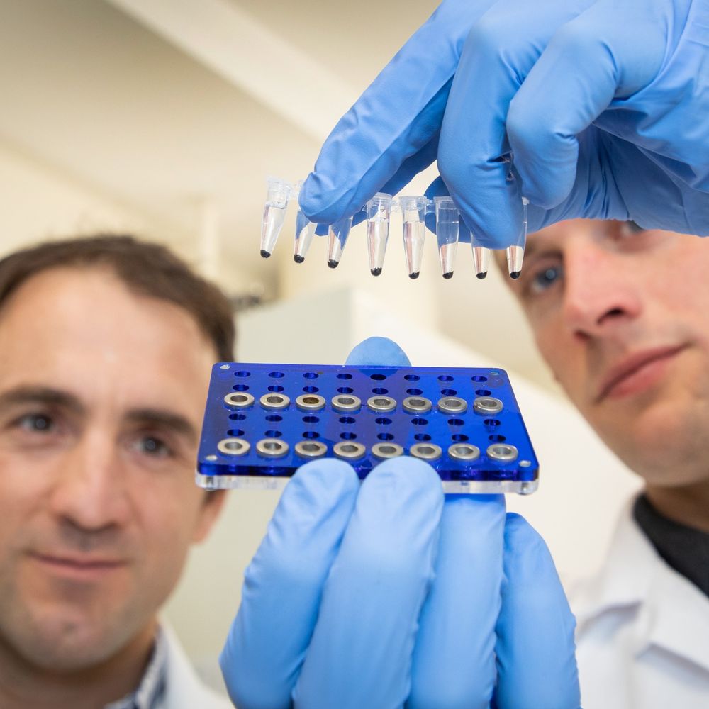 Hore Lab