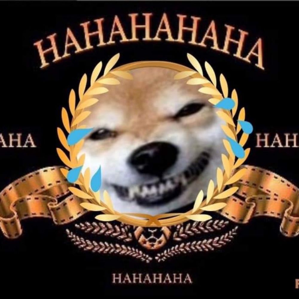 Unexpected Llama