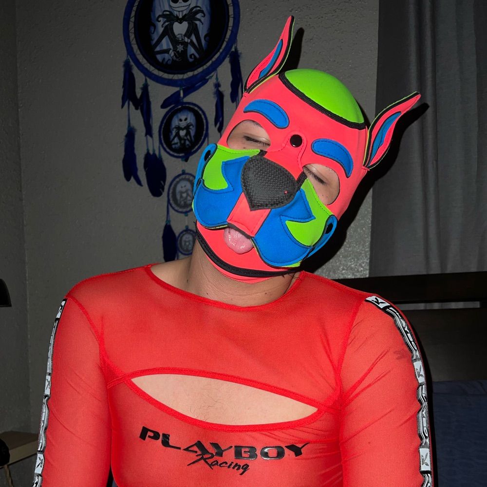 Pup Nitro